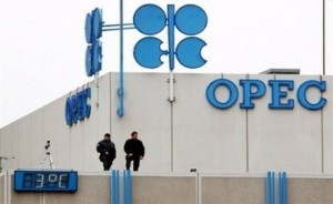 OPEC guards